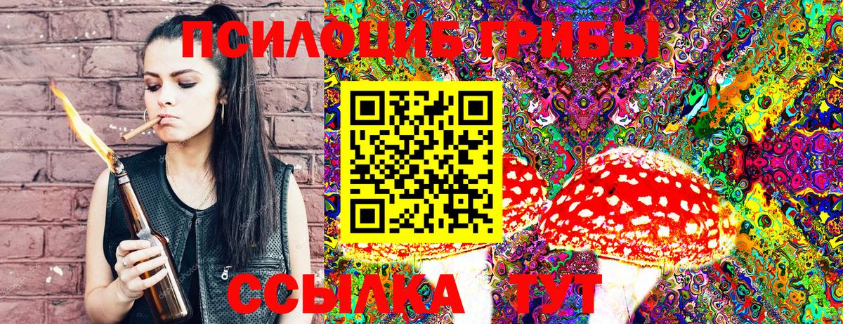 Псилоцибиновые грибы Psilocybe  Вход с VPN  Щёкино  Галлюциногенные грибы прущие грибы 